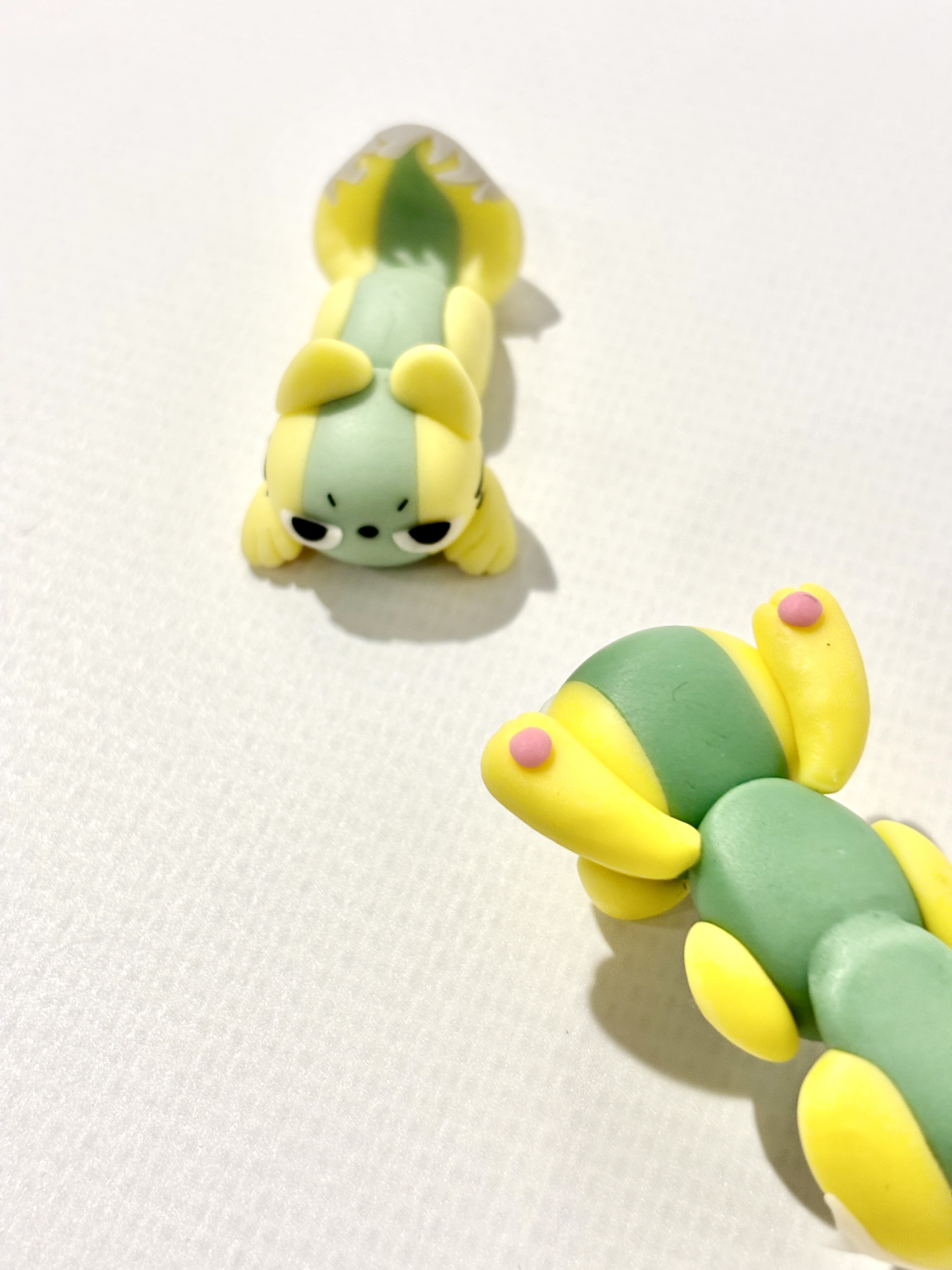 観測写真